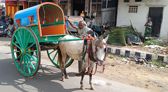 reaching palani Temple on tanga prayanikudu