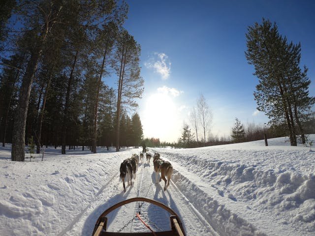 ఇక్కడ క్రిస్మస్ తాతతో ఫోటో దిగవచ్చ | Santa Claus Village 9 Husky Safari in Rovaniemi