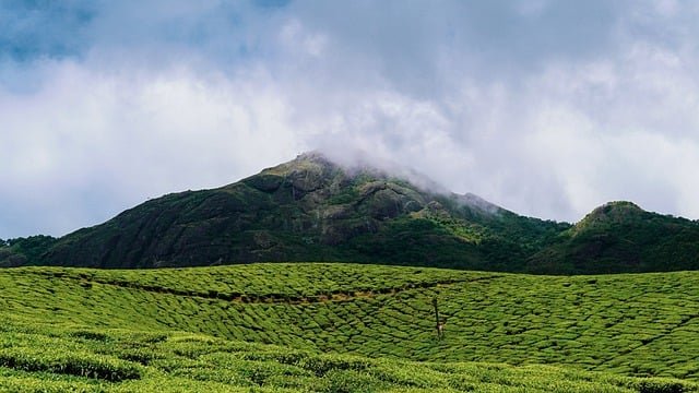 Yercaud Winter Hill Stations in South India