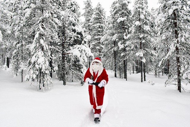 ఇక్కడ క్రిస్మస్ తాతతో ఫోటో దిగవచ్చ | Santa Claus Village 10 Santa Claus in Rovaniemi