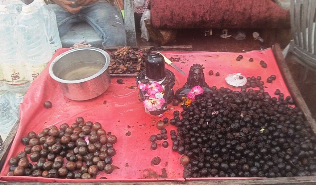 Har Ki Pauri At Haridwar : శ్రీహరి పాదాలు మోపిన హరిద్వార్లోని హరికి పౌరీ ఘాట్ విశిష్టతలు 10 rudraksh seeds at haridwar