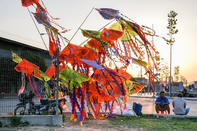 పతంగుల పండగ అత్యంత వైభవంగా జరిగే 5 సిటీలు | Kite Festivals 2025 3 Kite Festivals In india 2025