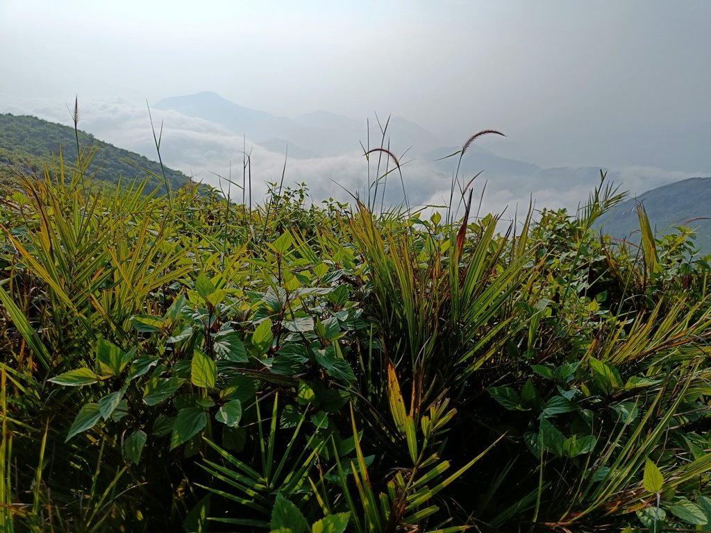 Vanjangi Trek : వింటర్లో వంజంగి ఎందుకు వెళ్లాలి ? ఈ 10 కారణాలు చదవండి 13 10 Reasons To Visit Vanjangi HIlls
