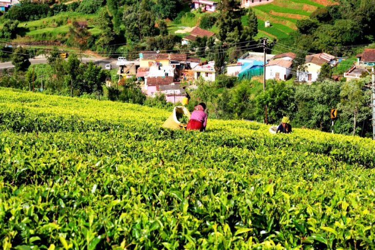 ooty itinerary