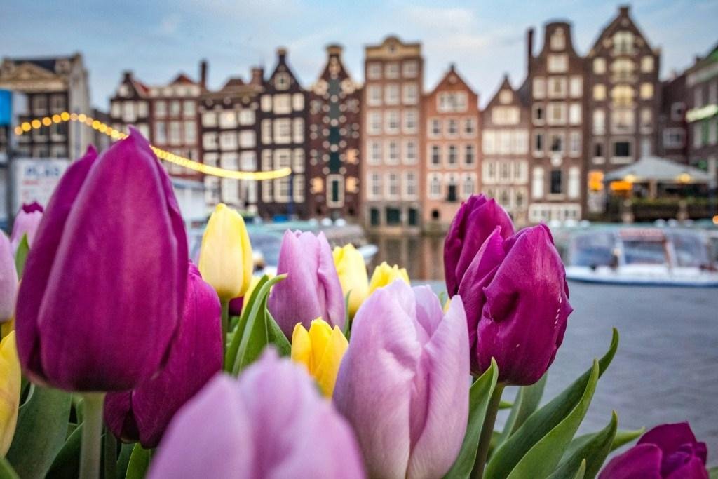Amsterdam, Netherlands spring