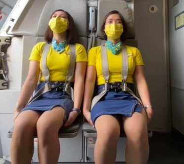 Flight Attendants : ఫ్లైట్ అటెండెంట్లు చేతులు ఎందుకు లాక్ చేసుకుని కూర్చుంటారు? 2 Flight Attendants