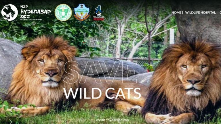 Nehru Zoological Park Summer Camp