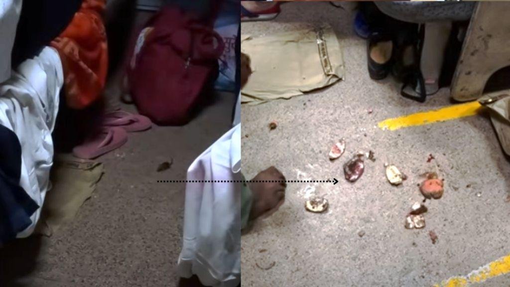 ఎలుకలు, బొద్దింకలు, చిల్లర తిరిగివ్వని క్యాటరింగ్ సిబ్బంది… 46 గంటల ట్రైన్ జర్నీలో ఫ్రెంచ్ యూట్యూబర్ అనుభవాలు | Indian Train Journey 2 Indian Train Journey