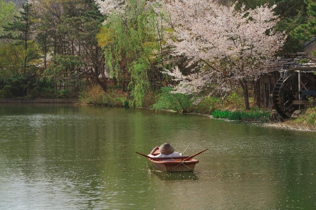 Jinhae, South Korea