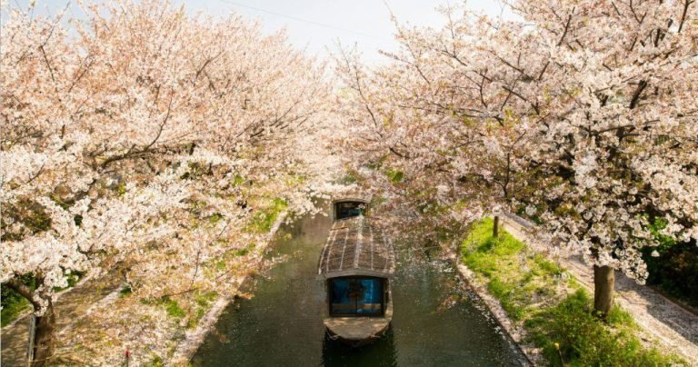 Kyoto, Japan