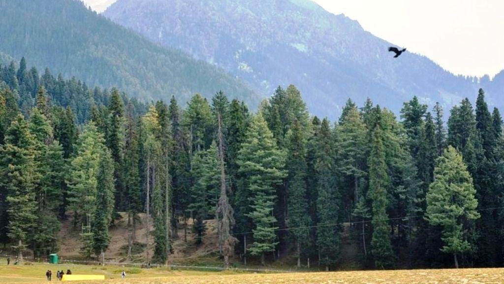 Pahalgam terror attack