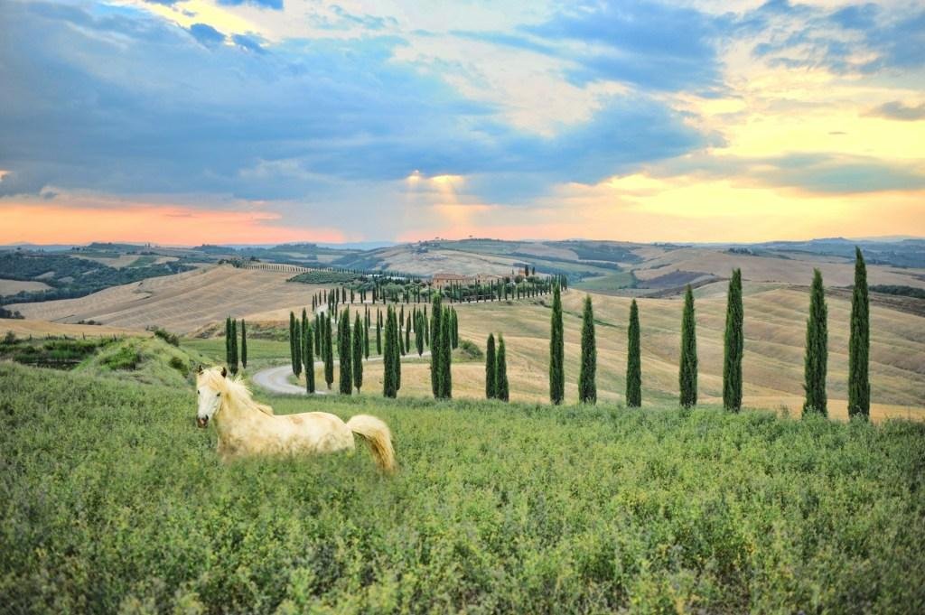 Tuscany, Italy spring