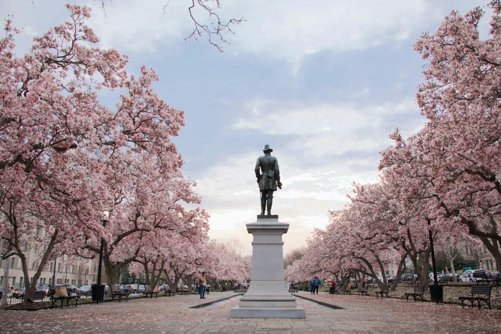 Spring Destinations