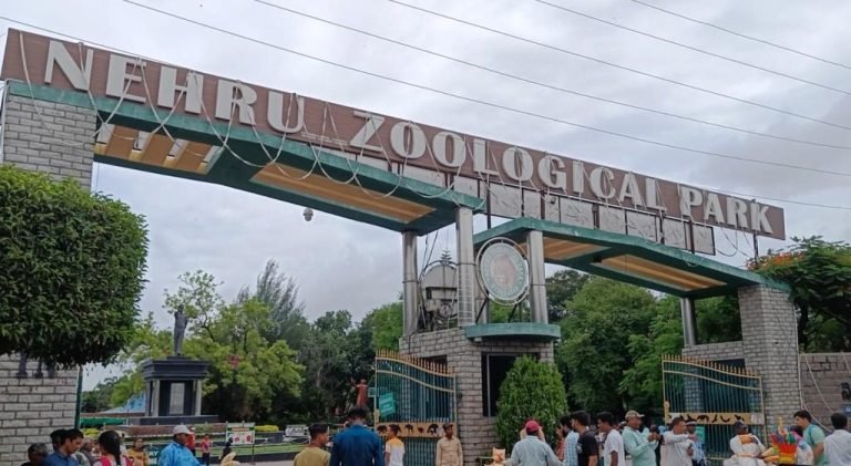 Zoo Park
