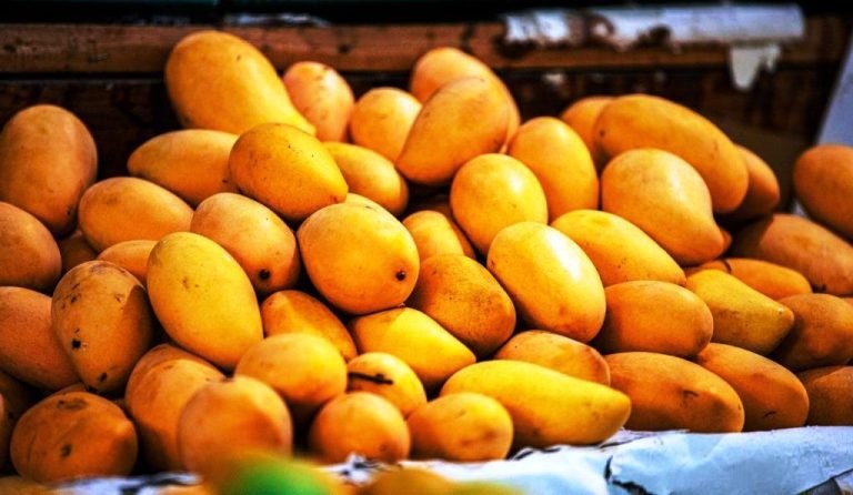 Mango Markets In Telugu States