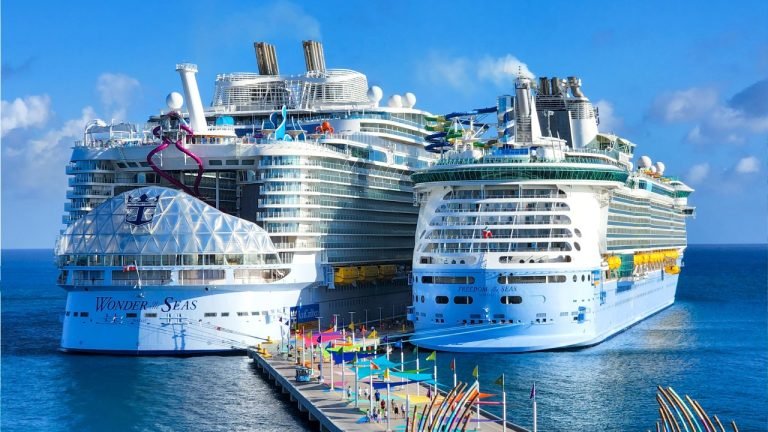 Cruise Tips : ఫస్ట్ టైమే అదుర్స్ అనిపించేలా క్రూయిజ్ జర్నీ ఉండాలంటే.. ఈ రకంగా ప్లాన్ చేసుకోండి