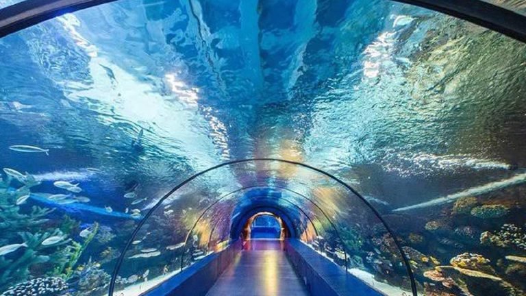 Hyderabad Aquarium : సముద్రం కింద నడిచిన ఫీలింగ్.. హైదరాబాద్‌లో దేశంలోనే పెద్ద అక్వేరియం రాబోతుంది