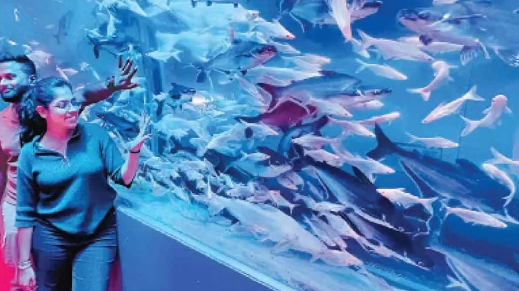 Hyderabad Aquarium : సముద్రం కింద నడిచిన ఫీలింగ్.. హైదరాబాద్లో దేశంలోనే పెద్ద అక్వేరియం రాబోతుంది 2 Prayanikudu