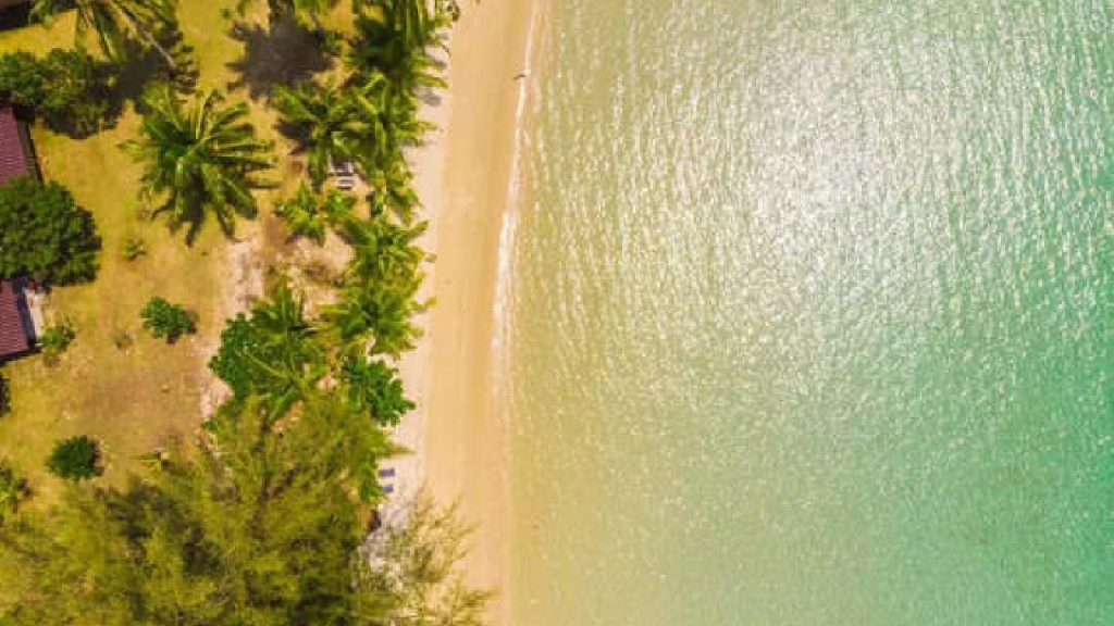 Forest Beaches : వీకెంట్ టూర్ ప్లాన్ చేస్తున్నారా.. అద్భుతమైన ఈ 6 బీచ్లను ట్రై చేయండి 2 Prayanikudu