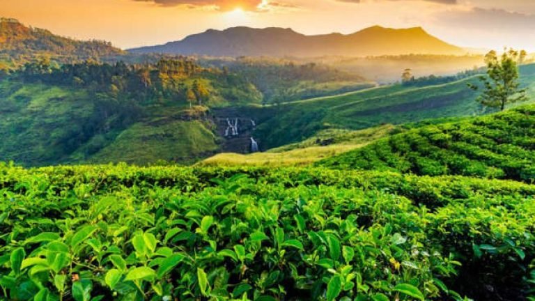 Sri Lanka Solo Trip: ఒక 43 ఏళ్ల మహిళకు జీవితాన్ని మార్చిన శ్రీలంక సోలో ట్రిప్!