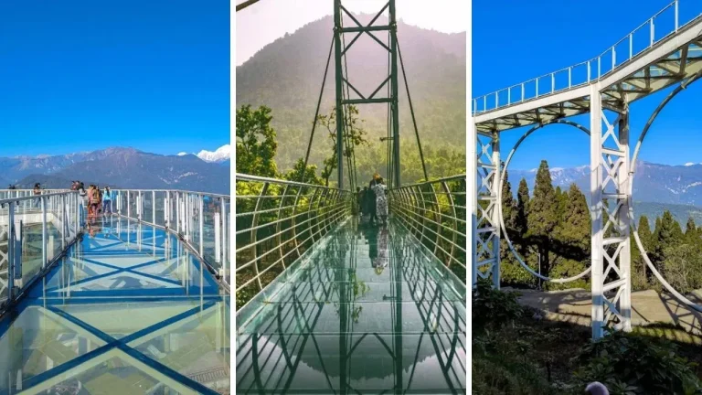 Glass Bridge : అయ్య బాబోయ్ ఇండియాలోని ఈ 4 గ్లాస్ బ్రిడ్జ్‌లు చూశారా?  ఎక్కారంటే కాళ్లు వణుకుతాయి