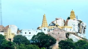Prayanikudu