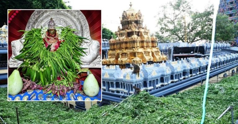 Shakambari Utsavalu Day 2