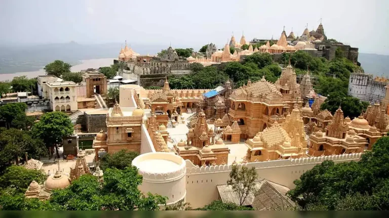 Palitana : ఆ నగరంలో నాన్ వెజ్ తింటే జైలుకే.. టూరిస్టులు కూడా తినొద్దు.. ఎలా వెళ్లాలంటే