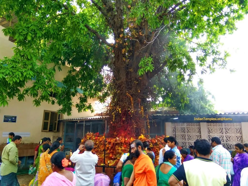 Mopidevi Temple: నాగుపాము దోషం పోవాలంటే ఇక్కడకి వెళ్లాల్సిందే.. మోపిదేవి పుట్టమన్ను మహిమలేంటో తెలుసా ? 2 Prayanikudu
