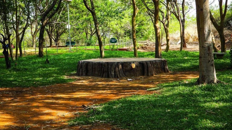 Mrugavani National Park : హైదరాబాద్‌లో అద్భుతమైన జాతీయ పార్క్.. ‘మృగవణి నేషనల్ పార్క్’ గురించి తెలుసా?