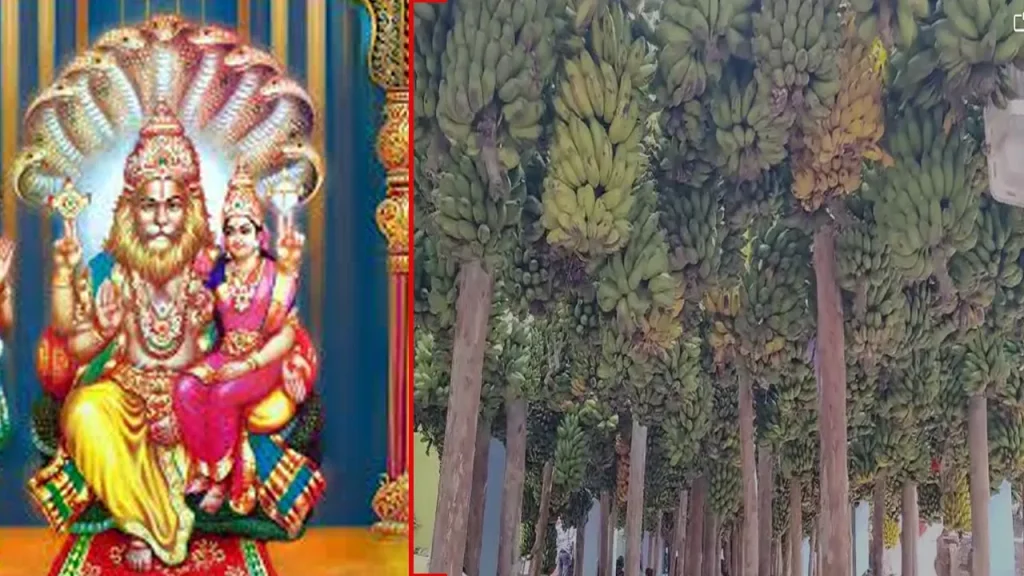 Banana Festival : కోరిక తీరాలంటే ఆ దేవుడికి అరటి గెల సమర్పించాల్సిందే.. 150ఏళ్లుగా విచిత్రమైన ఆచారం 2 Prayanikudu