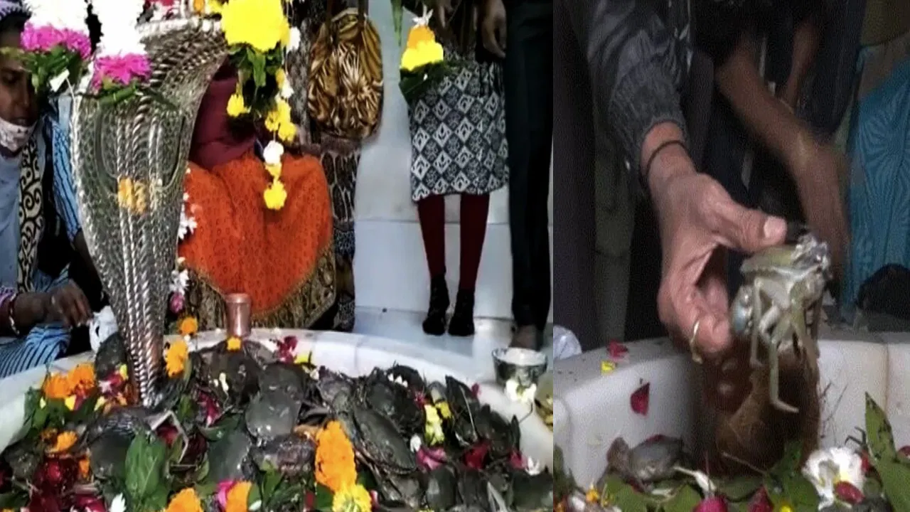 Prayanikudu