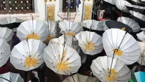 Prayanikudu
