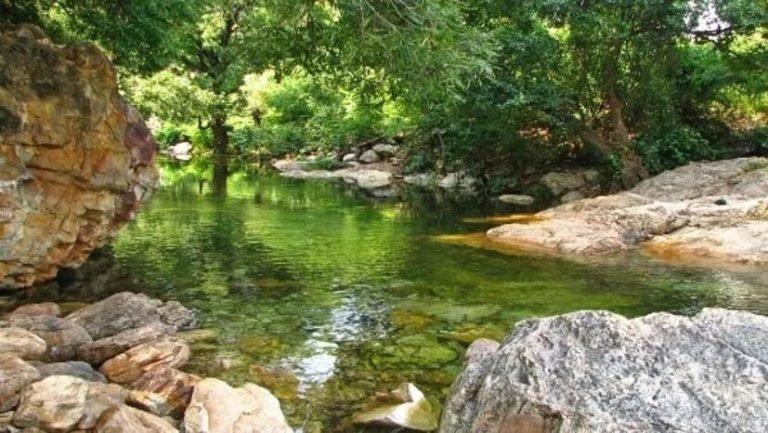7 Waterfalls in Chittoor : బిజీ లైఫ్ నుండి బ్రేక్ కావాలా? ఏపీలోని ఈ అద్భుత జలపాతాలను సందర్శించండి