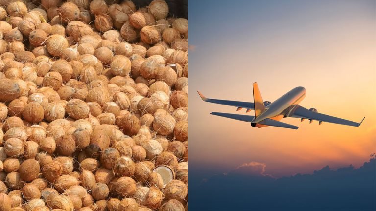 Air Travel : విమానంలో కొబ్బరికాయను తీసుకెళ్తే మీ జైలుకు వెళ్లాల్సిందే.. ఎందుకో తెలుసా ?