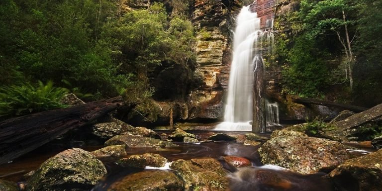 Winter Destination:చలికాలంలో పచ్చని స్వర్గం.. మారేడుమిల్లి అందాలు చూడకుంటే మిస్సయినట్టే!