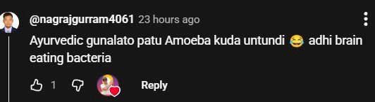 Travel Tips 39 : గ్లేసియర్ వాటర్ తాగొచ్చా? అందులో బ్రెయిన్తినే అమీబా ఉంటుందా ? | Glacier Water 2 does glacier water has amoeba fact check