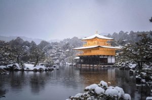 జపాన్ రాజధాని Tokyo. కానీ ఇప్పుడు మనం టూరిస్టుల మనసులను కొల్లగొట్టే Kyoto city గురించి మాట్లాడుతున్నాం. ముఖ్యంగా చలికాలంలో Kyotoలో ఆలయాలు, మంచు, గార్డెన్లు, అన్ని కూడా చాలా అందంగా కనిపిస్తాయి. క్యోటోలో అనువణువునా చరిత్ర తాలూకు లక్షణాలు కనిపిస్తాయి. ఇక్కడి వెళ్లే ప్రయాణికులు చాలా మంది మార్నింగ్ వాక్ చేయడాన్ని అస్సలు మిస్ చేయరు. ఒకప్పటి రాజధాని క్యోటో రాజుల కాలంలో జపాన్ రాజధాని. చలికాలం ఇది వింటర్ వండర్లాండ్‌లా మారిపోతుంది. వెదురుతో నిర్మించిన ఆలయాలపై, నడవడానికి అప్పట్లో ఏర్పాటు చేసిన రాతి రోడ్లపై సన్నని మంచు పొరలుగా పడి అందంగా కనిపిస్తుంది. ఈ నగరం కొన్ని శతాబ్దాలుగా తమ వారసత్వాన్ని అలాగే కాపాడుతూ వస్తోంది. అందుకే ఇక్కడికి వస్తే టైమ్ మిషన్‌లో వెనక్కి వెళ్లినట్టు అనిపిస్తుంది అని కొంత మంది ప్రయాణికులు అంటారు. తత్వవేత్తల తొవ్వ (Ha Ha Ha) | Philosophers Path క్యోటో వీధుల్లో చాలా తత్వవేత్తలు నడిచిన దారుల్లో మీరు కూడా నడవవచ్చు. ఆ తొవ్వలో నడుస్తూ జీవిత తత్వం బోధపడుతుందేమో ట్రై చేయండి. జస్ట్ జోకింగ్. చిన్న చిన్న సెలయర్లు, అందమైన దారులను కవర్ చేస్తూ అక్కడి టీ హౌసుల్లో ఉదయమే వేడివేడి ఛాయ్ తాగుతూ ప్రయాణికులు తమ మెమోరీస్‌ను సేవ్ చేసుకుంటారు. ఇక్కడ Matcha అనే జపానీస్ గ్రీన్‌టీతో పాటు ట్రెడిషనల్ స్వీట్స్ కూడా సర్వ్ చేస్తారు. ఉదయమే సాధువులు తమ మార్నింగ్ రిచువల్స్ పూర్తి చేసుకుంటే, స్థానికులు భక్తితో ఆలయాలను శుభ్రం చేస్తారు. సూర్యోదయం సమయంలో ఆకాశం బంగారు రంగులో మెరిస్తే నేలంతా కిరణాలతో తడుస్తుంది. (కొత్తగా ట్రై చేశాను) జపాన్ ఆలయాలు | Famous Shrines In Kyoto, Japan క్యోటోలో Fushimi Inari, Kinkaku-ji, Ginkaku-ji వంటి పురాతన ఆలయాలు మనం టీవీలో చూసే ట్రెడిషనల్ ఆలయాలను మించి ఉంటాయి. అలాగే ఆలయాలకు ముందు నిర్మించే Torii Gates ఉదయానే గోల్డెన్ కలర్ స్కై వల్ల మెరిసిపోతాయి. దూరంగా కనిపించే మంచు దుప్పటిలో పర్వతాలు అందానికి మరింత వన్నె తెస్తాయి. ఇక్కడ ఎప్పుడు వెళ్లినా సీజనల్ ఫ్రూట్స్, స్థానికులు తయారు చేసే వంటకాలను ఆస్వాదించవచ్చు. ముఖ్యంగా Setsubun వేడుక సమయంలో వెళ్తే పైసా వసూల్ అనుభవం పొందవచ్చు. తెలుగు ఫ్యామిలీస్‌ గైడ్ | Telugu Families Travel Tips to Kyoto Flights: హైదరాబాద్ నుంచి Kansai Airportకు వయా ముంబై లేదా ఢిల్లీలో వెళ్లి వచ్చు. Layoversతో కలిపి సుమారు 10–12 గంటల ప్రయాణం ఉంటుంది. Local Transport: Haruka Express Trainలో ప్రయాణించి 75 నిమిషాల్లో Kyoto చేరుకోవచ్చు. లేదంటే బస్సుల్లో కూడా ప్రయాణించవచ్చు. రోడ్డులు చాలా ప్రశాంతంగా ఉంటాయి. Subway, bus stands కనుక్కోవడం సులభం. Stay (ఎక్కడ ఉండాలి): Gion / Central Kyoto ప్రాంతాల్లో అందుబాటు ధరలో హోటల్స్ లభిస్తాయి. Winter Tips: Light jackets, waterproof shoes తీసుకెళ్లండి. Entry Fees: ఆలయాల్లో ఎంట్రీ దాదాపు ఉచితం; కొన్ని గార్డెన్స్‌లోపలికి వెళ్లేందుకు రూ.500–700 ఫీజు ఉంటుంది. Kyoto Japan Winter Travel Guide 1