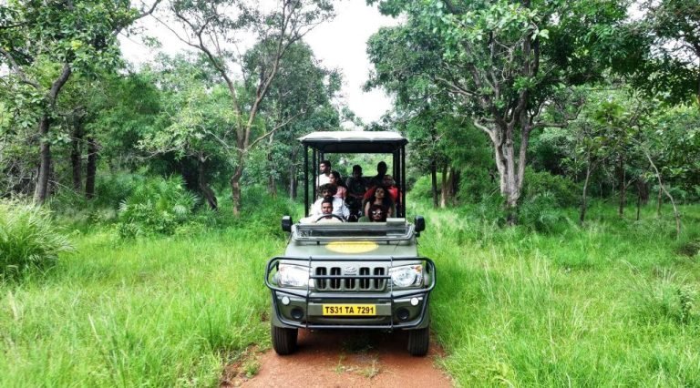 Amrabad Tiger Reserve