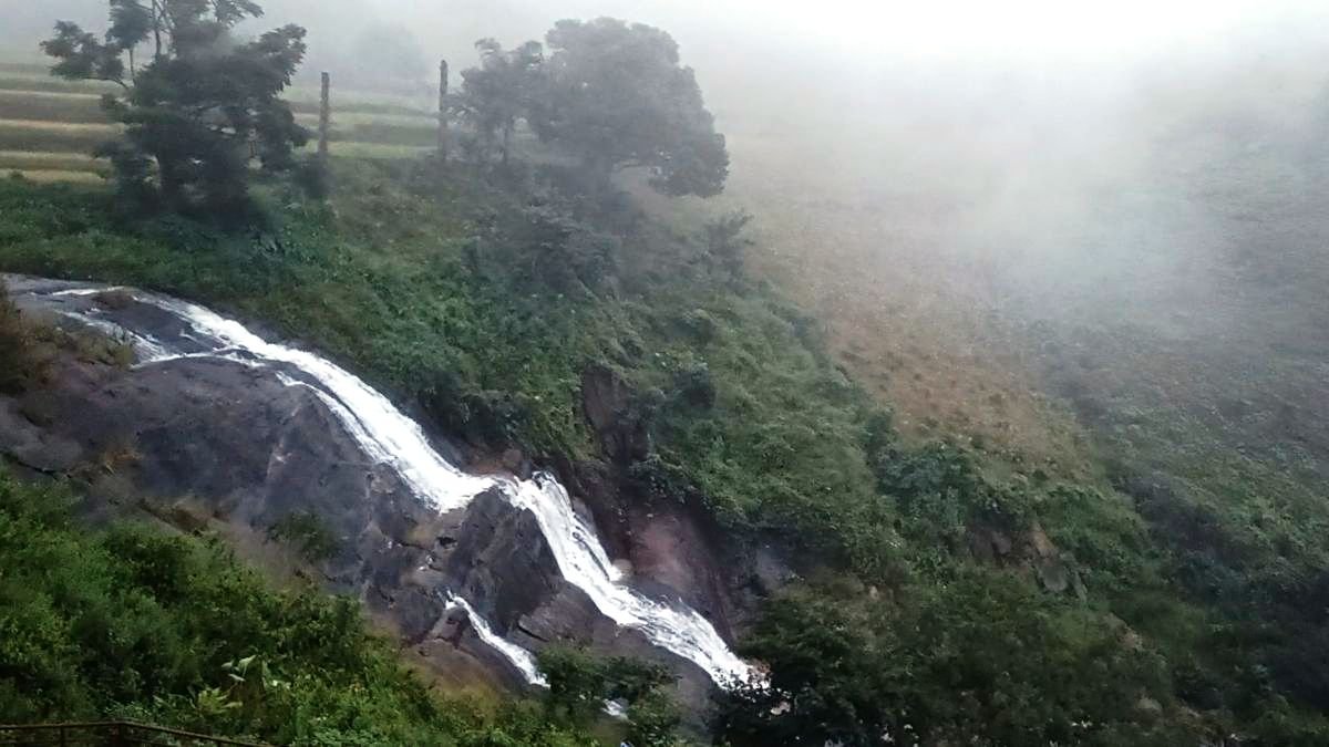 Andhra Pradesh Travel