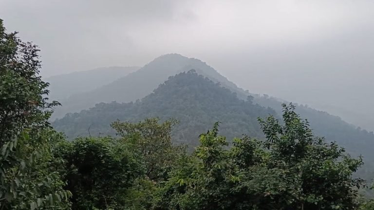 Araku Valley In Summer