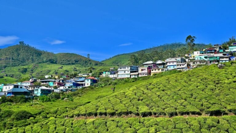 Coonoor