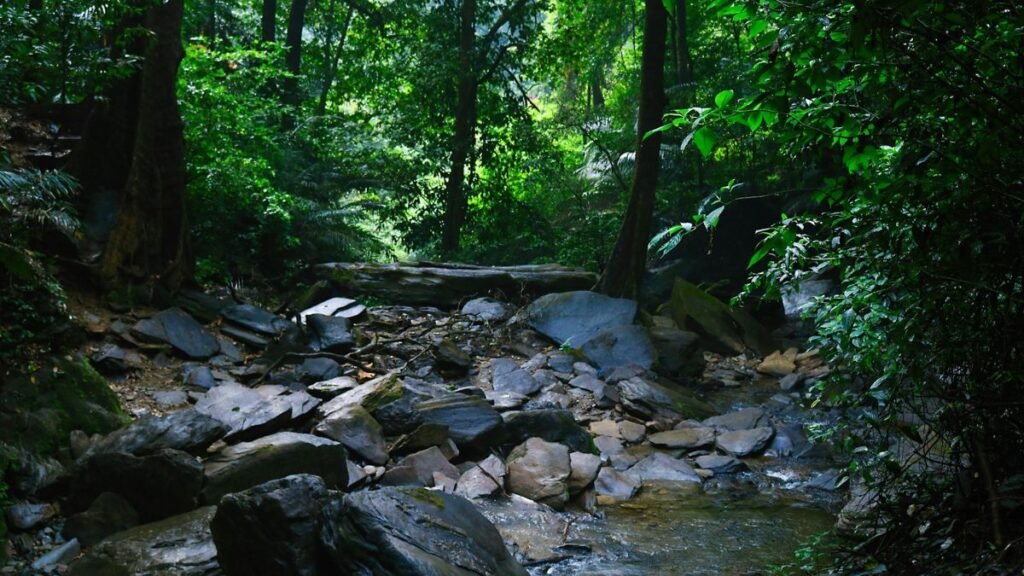 Agumbe