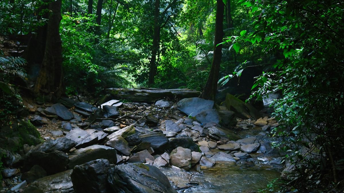 Agumbe