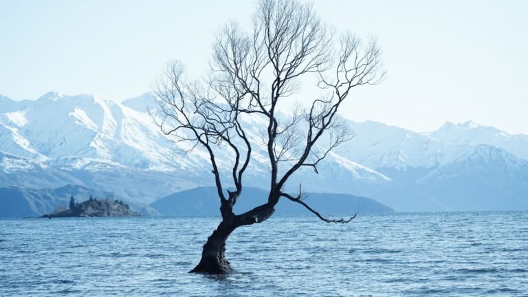 wanaka