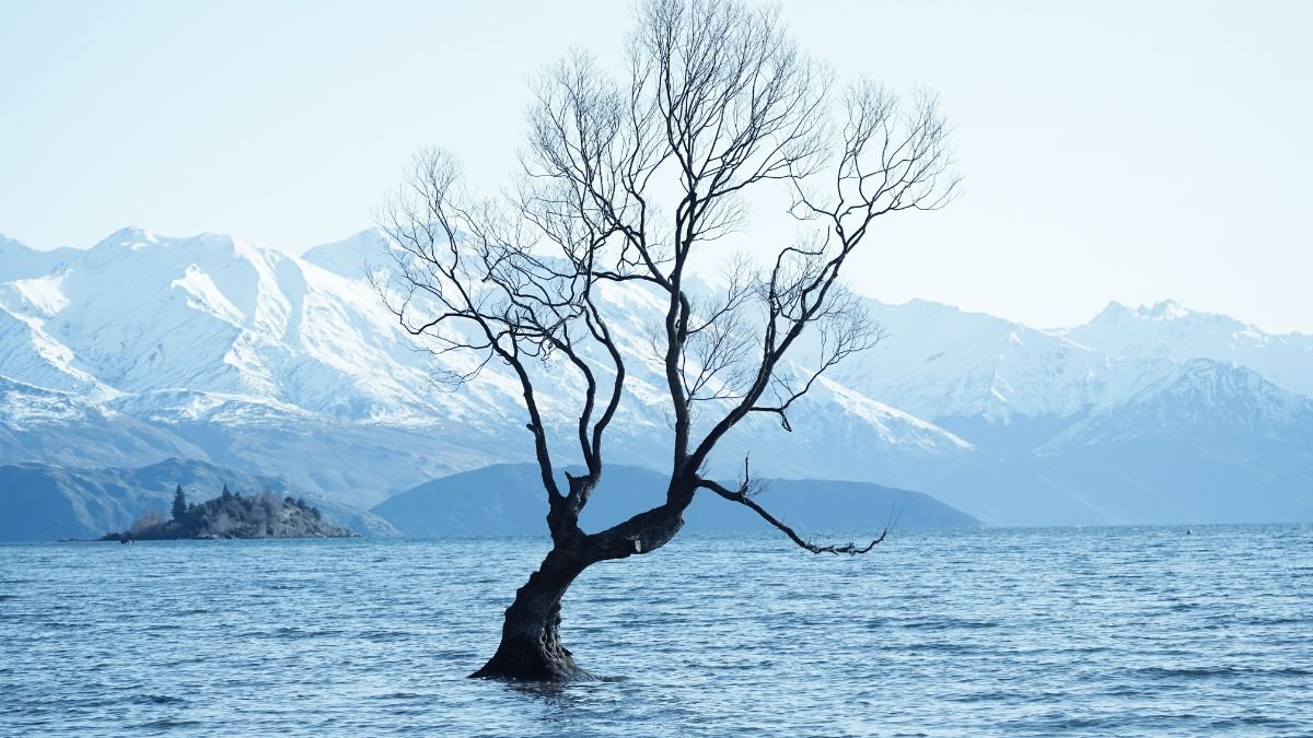 wanaka