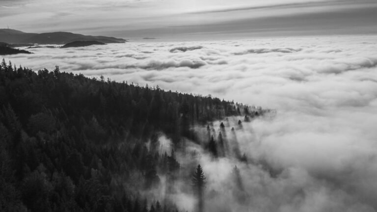 Black Forest Germany
