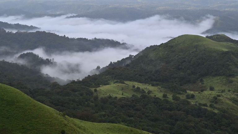 Agumbe