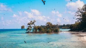 Emarald Island