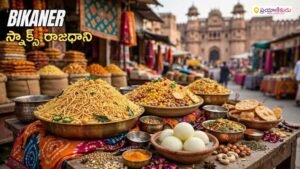 bikaner-snacks-capital-india-bhujia-history-telugu